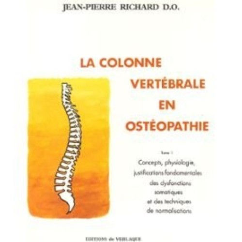 Colonne vertebrale en - colonne,