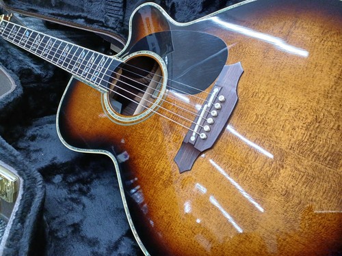 Takamine dsp530 vts - takamine, electric
