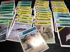 LOT 41 FICHES Mickey Journal Animaux Collection