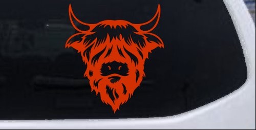 Highland bull car truck - bull, or