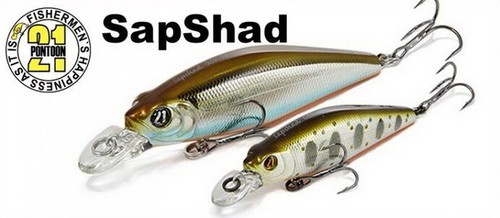 Pontoon poisson nageur - 21,