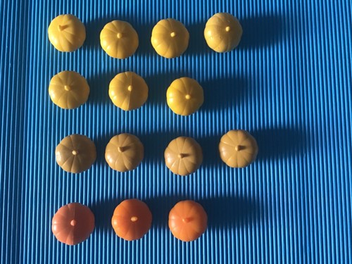 Playmobil lot citrouilles - lot,