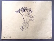 Dessin xixe plume étude - xixe,