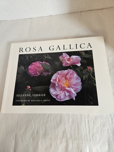 Rosa gallica the french - rosa, gallica:
