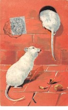Animaux - n°63697 - Rat - Deux souris, l'une d'elle rentrant dans un trou