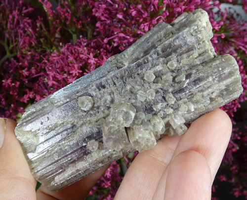 Grande aragonite mauve - aragonite,