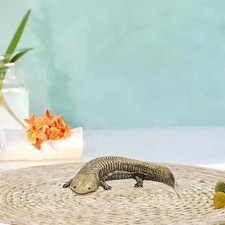 Statue de Salamandre En