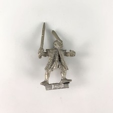 x1 Elfes Noirs Maraudeur