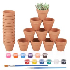 Lot de 20 Pot en Terre Cuite