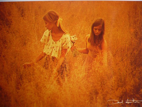 Carte postale david - postale,