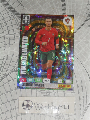 Panini adrenalyn world cup - panini,