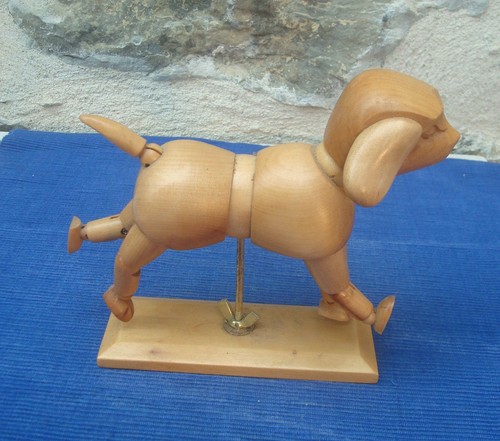V74 chien manequin - v74,