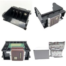 Couleur pleine Tête