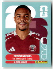 Panini Stickers Coupe Du Monde