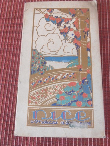 Guide touristique nice ref - guide,