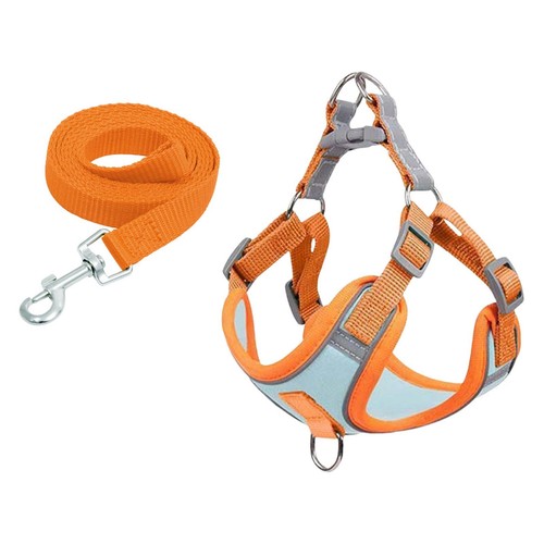 Harnais pour chien - , de