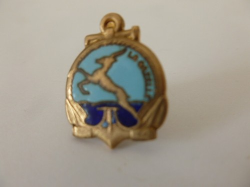 Insigne réduction marine - insigne,