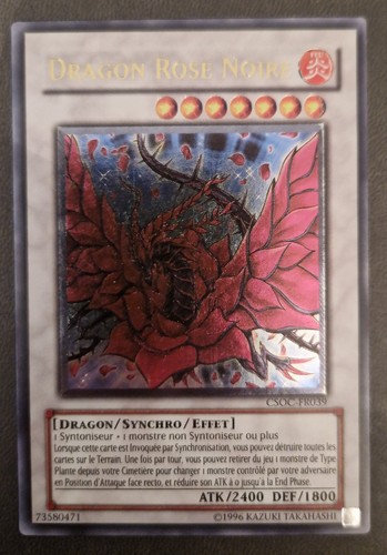 Dragon rose noire - dragon,