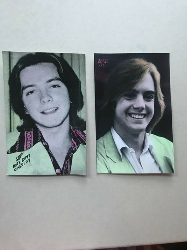 David cassidy shaun - david,