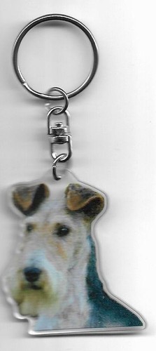 Fox terrier porte - fox,
