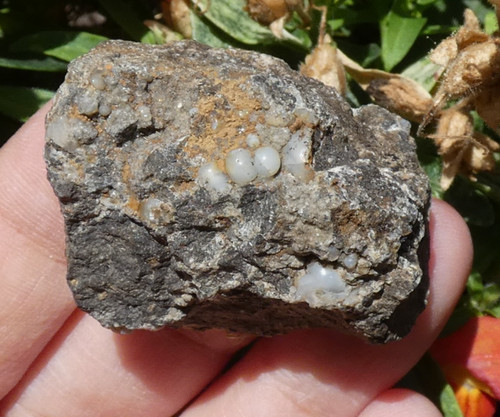 Rare lussatite opale - rare,