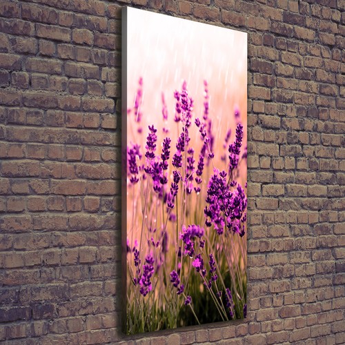 Tulup tableau sur toile - tulup,