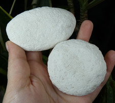 Lot 2 galets Craie naturelle 8x4.5cm minéral ancien pierre lithothérapie reiki