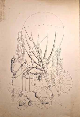 Ancien dessin encre - dessin,