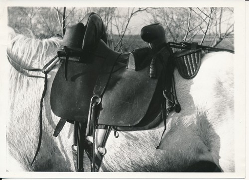 Camargue 1935 selle - c.,