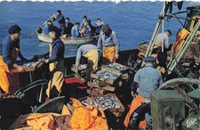 56 QUIBERON PORT MARIA 