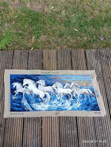 Canevas fini royal paris - fini,,