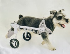 Fauteuil roulant chien