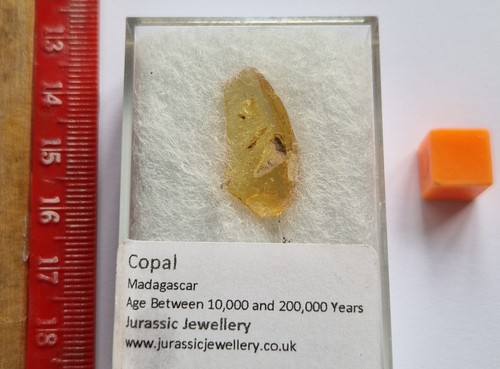 Copal malgache véritable - copal,