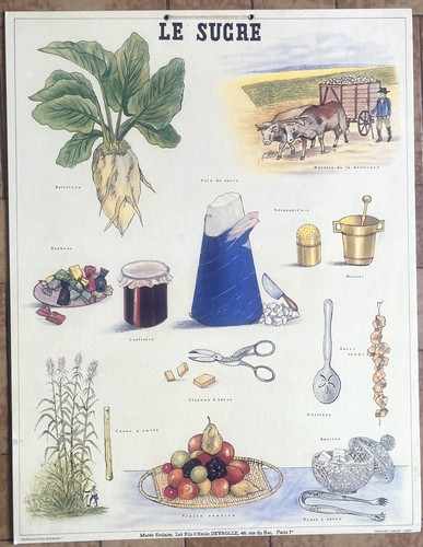 Ancienne affiche scolaire - 🍬,