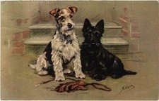 CPA AK Fox Terrier Two Fox Terriers DOGS (1388165)