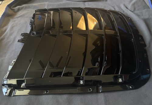 Shelby gt500 hood vent - shelby,