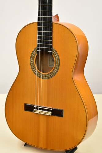 Juan hernandez 2009 used - hernandez,