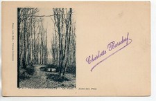 VILLERS COTTERETS  - Aisne - CPA 02 - la foret allée des pots carte 1900