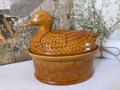 526 pot terrine - pot, en