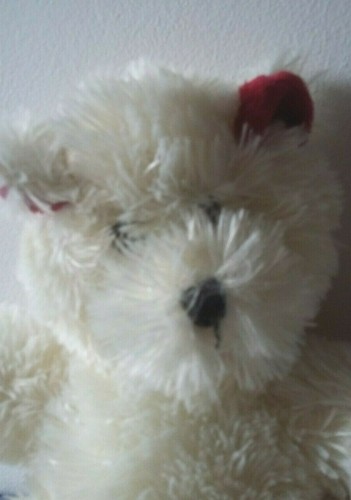 Peluche ours oreilles rouges