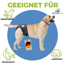 Pantalon de Chaleur pour Chiennes Sans Enfilage Canne, D'Incontinence Chiens