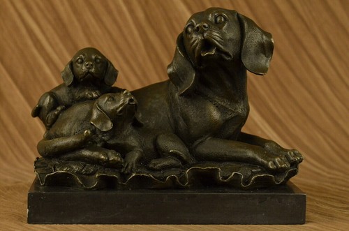 Chien chasse noir - chasse, jaune