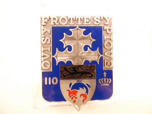 Insigne militaire 110e ri - insigne, ri-