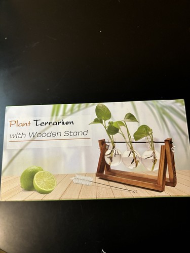 Plant terrarium with wooden - terrarium,
