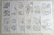 Saint Seiya Set 35 Settei Film