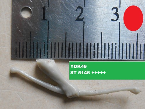 Starlux copies resine ydk49 - starlux,