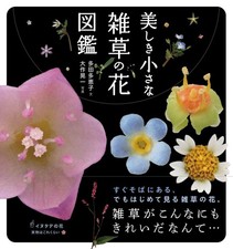 Beau Petit Livre D'Images De Fleurs De Mauvaises Herbes Japonais