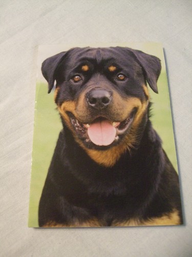 Carnet aimanté feuilles - aimanté,
