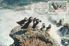 CARTE MAXIMUM 1ER JOUR -