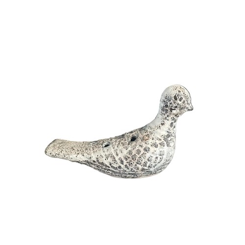 Oiseau pique fleurs - oiseau, pique-fleurs